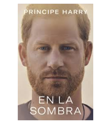 En la sombra