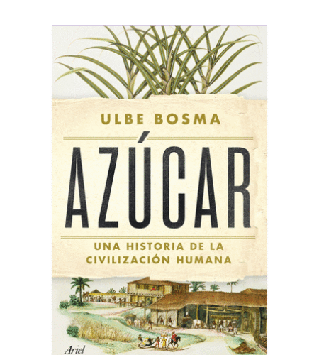 Azúcar